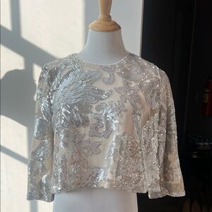 Sage Silver Sequin Blouse